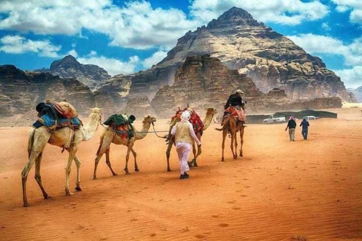 Rum Darin camp Wadi Rum Exterior foto